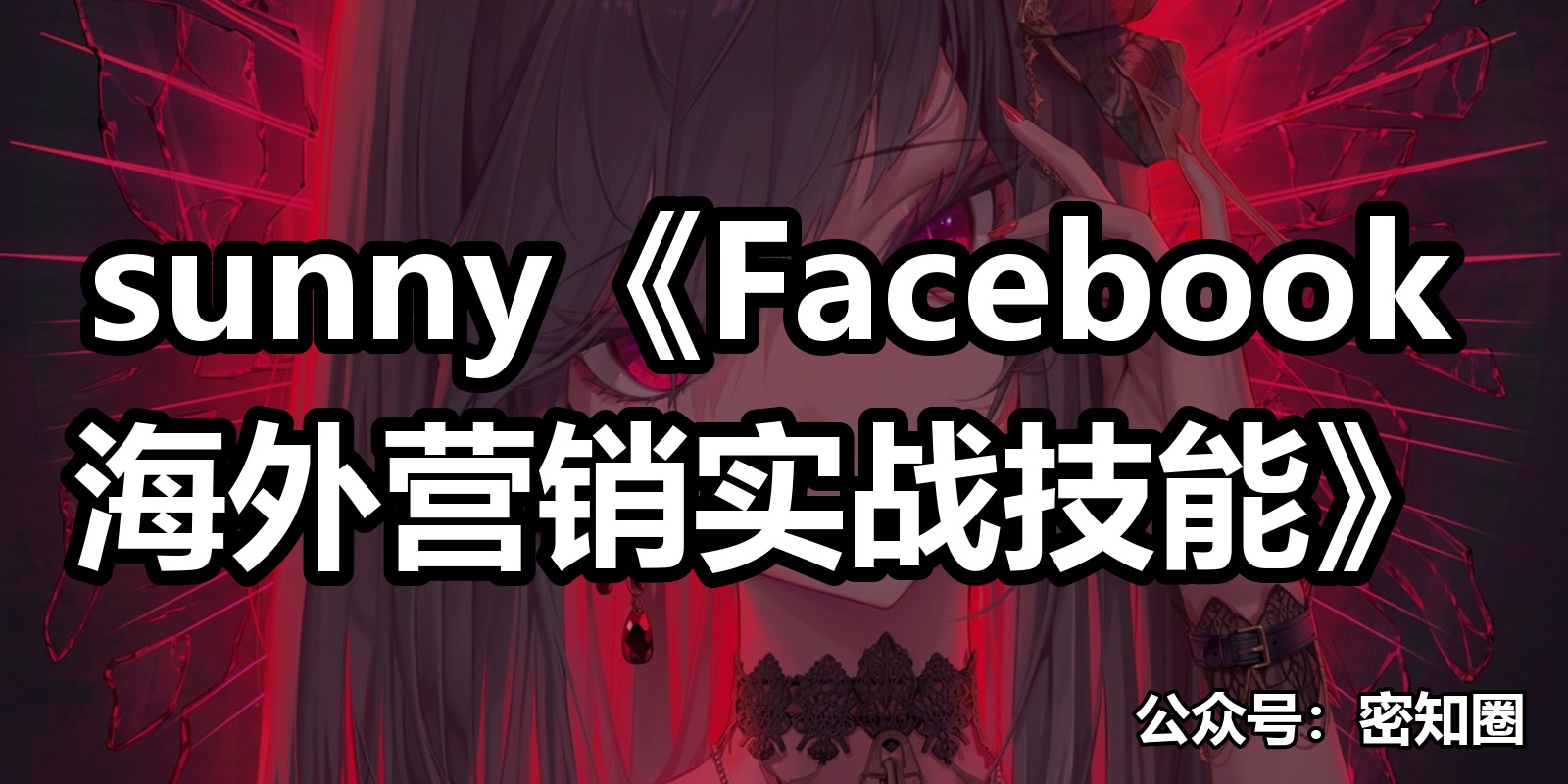 sunny《Facebook海外营销实战技能》|shaocun资源站 - 你的知识成长补给站