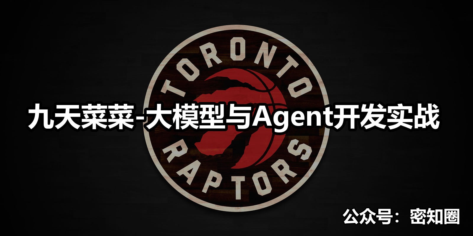 九天菜菜-大模型与Agent开发实战|shaocun资源站 - 你的知识成长补给站