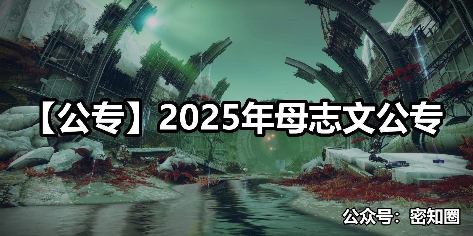 【公专】2025年母志文公专