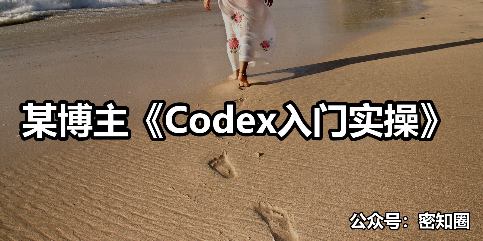 某博主《Codex入门实操》