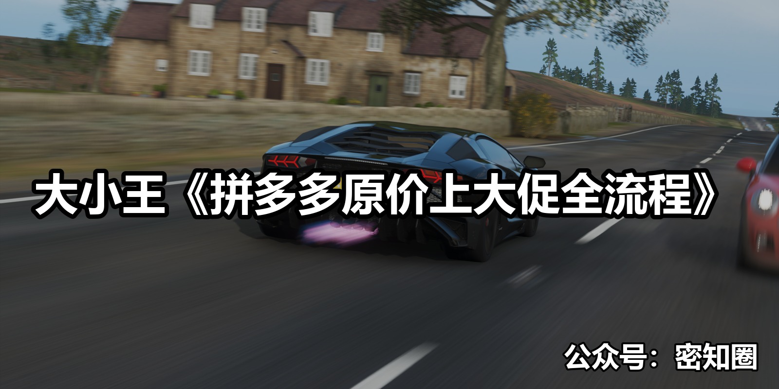 大小王《拼多多原价上大促全流程》|shaocun资源站 - 你的知识成长补给站