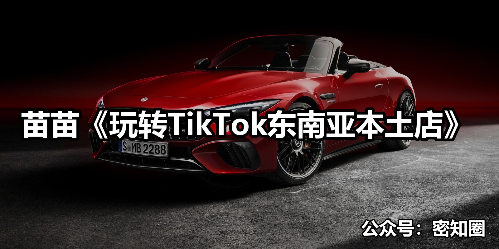 苗苗《玩转TikTok东南亚本土店》|shaocun资源站 - 你的知识成长补给站