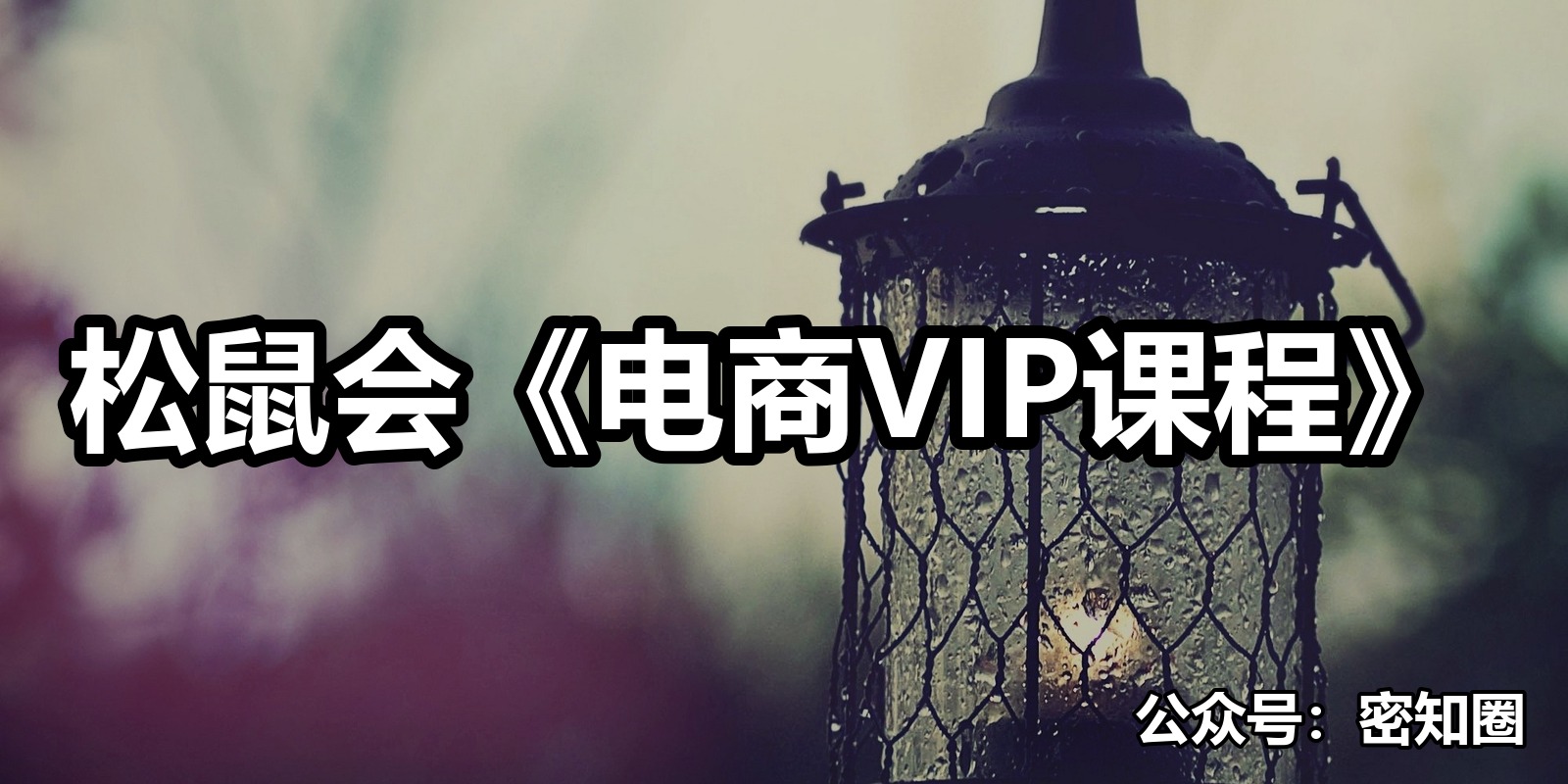 松鼠会《电商VIP课程》|shaocun资源站 - 你的知识成长补给站