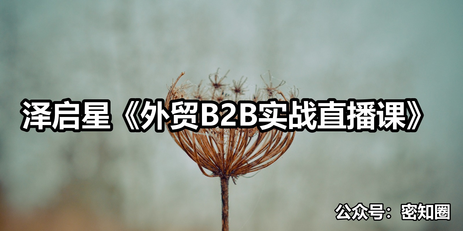 泽启星《外贸B2B实战直播课》|shaocun资源站 - 你的知识成长补给站