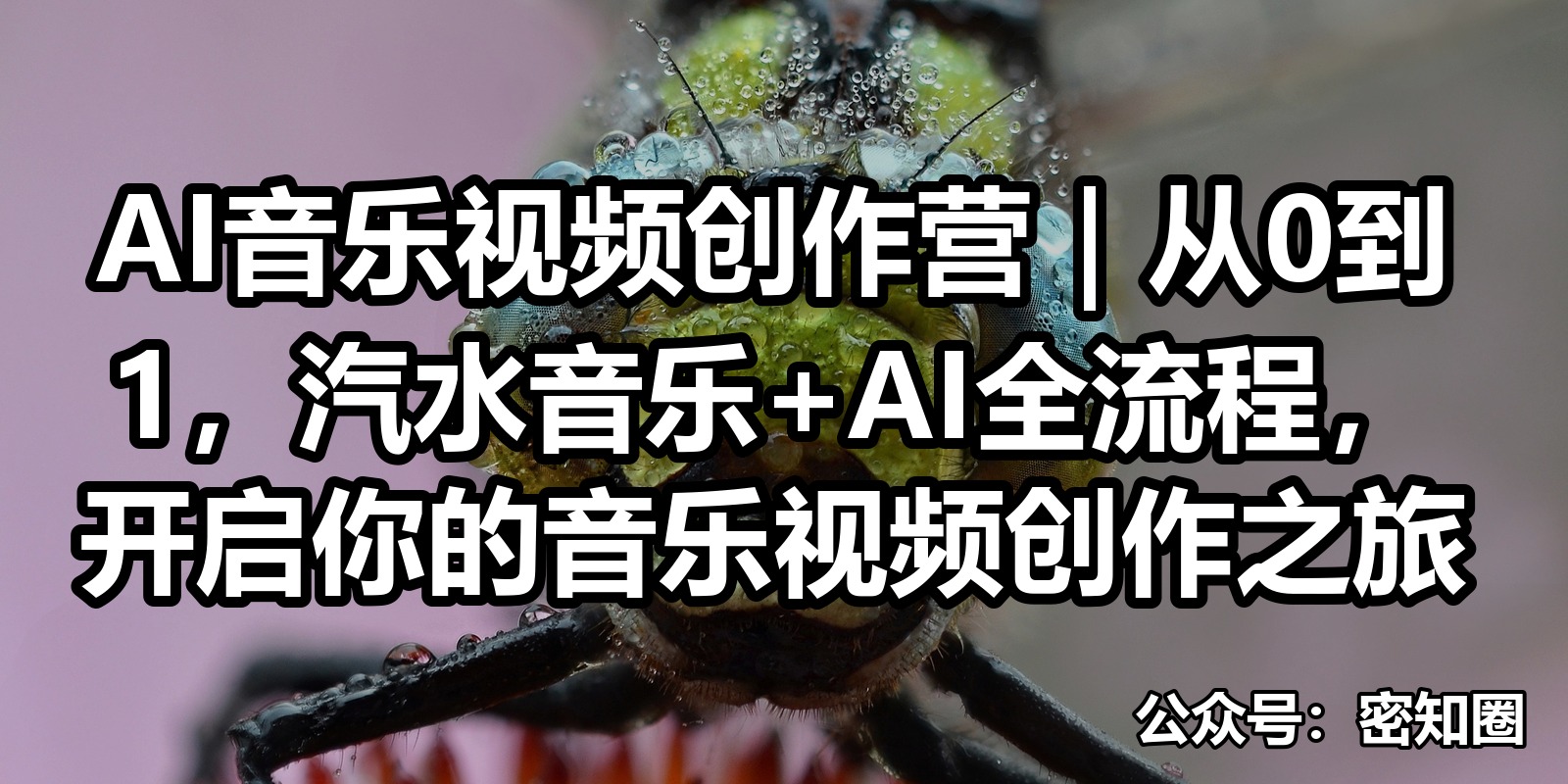 AI音乐视频创作营｜从0到1，汽水音乐+AI全流程，开启你的音乐视频创作之旅|shaocun资源站 - 你的知识成长补给站