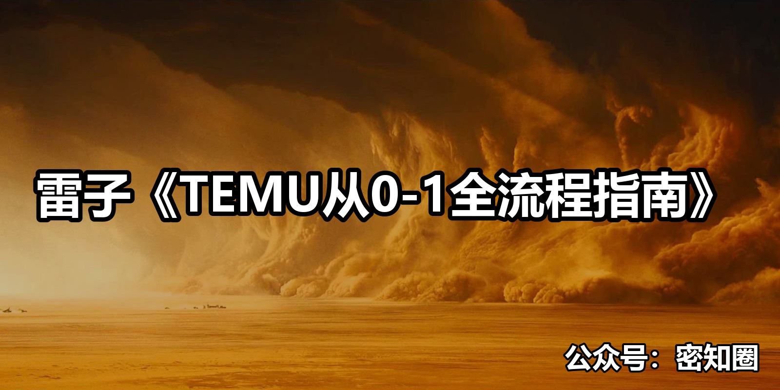 雷子《TEMU从0-1全流程指南》|shaocun资源站 - 你的知识成长补给站