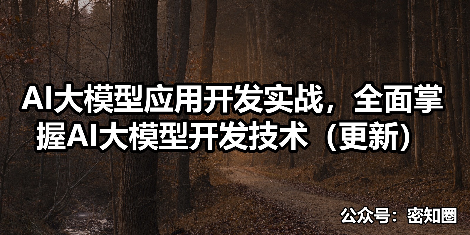 AI大模型应用开发实战，全面掌握AI大模型开发技术（更新）|shaocun资源站 - 你的知识成长补给站