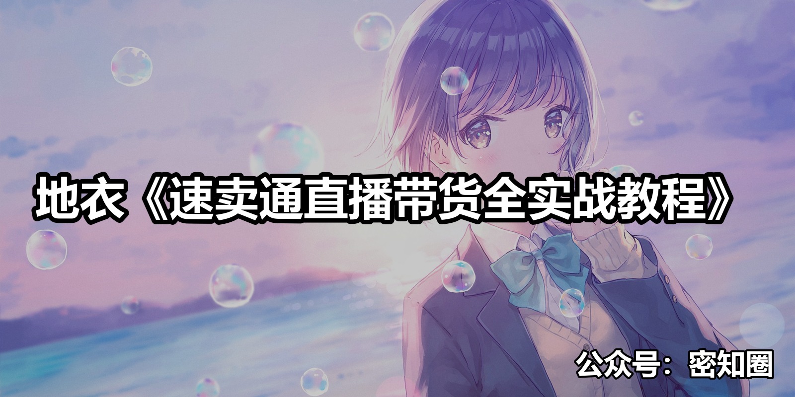 地衣《速卖通直播带货全实战教程》
