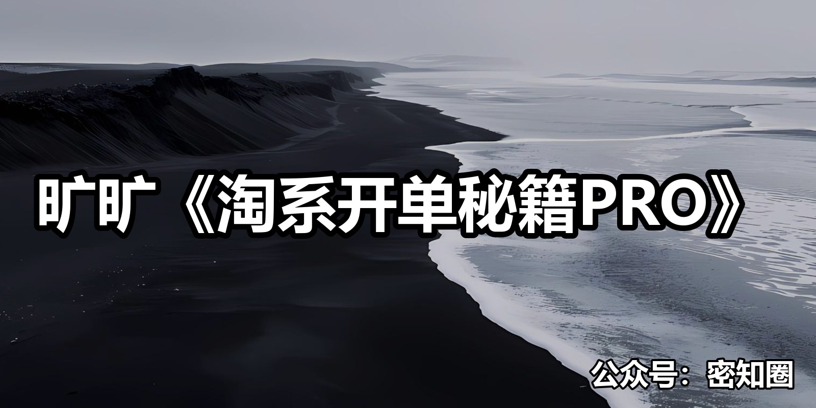 旷旷《淘系开单秘籍PRO》|shaocun资源站 - 你的知识成长补给站