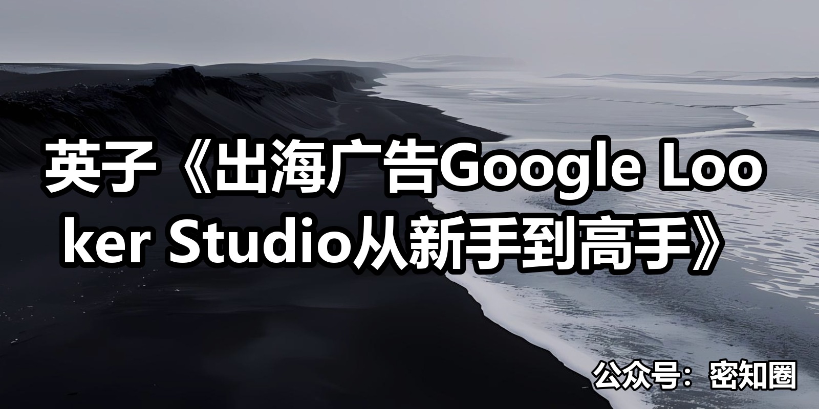 英子《出海广告Google Looker Studio从新手到高手》|shaocun资源站 - 你的知识成长补给站