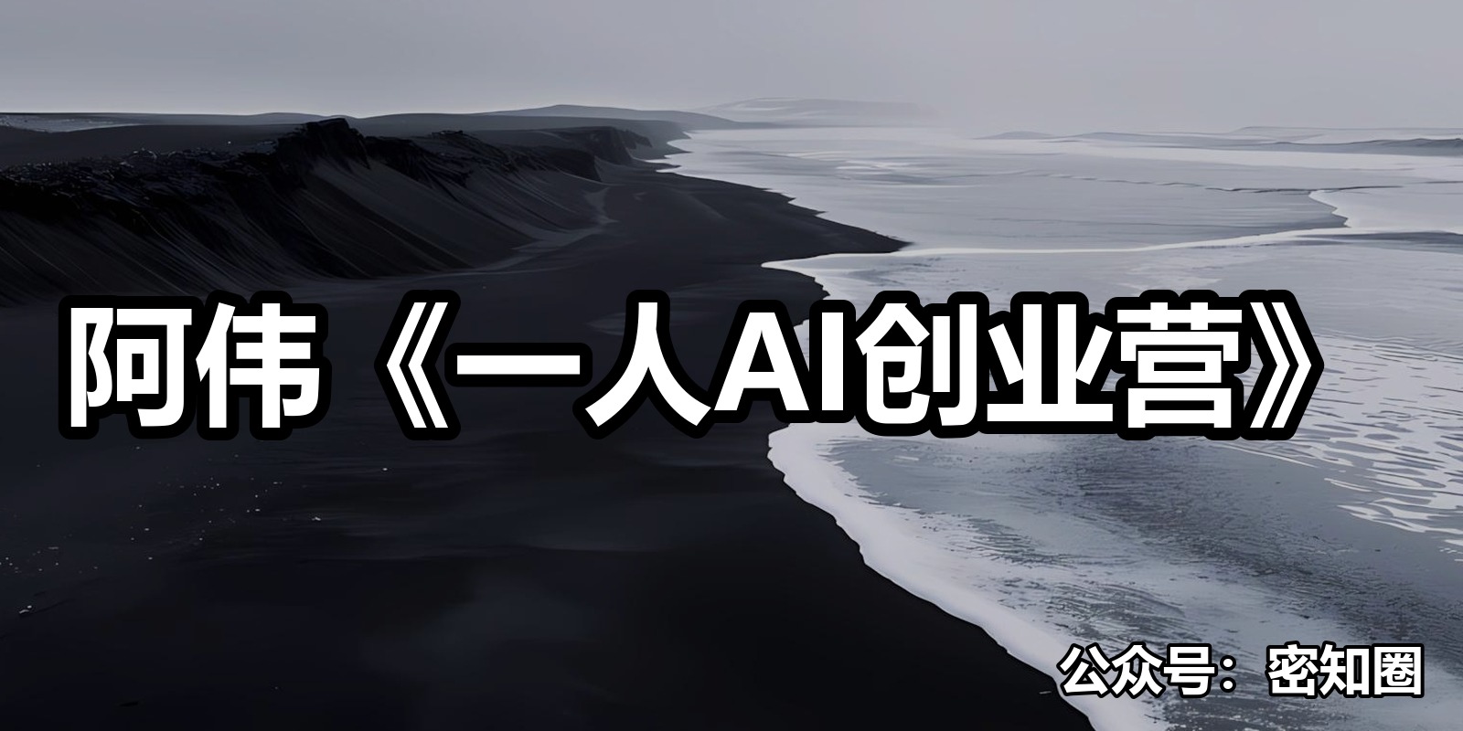 阿伟《一人AI创业营》|shaocun资源站 - 你的知识成长补给站