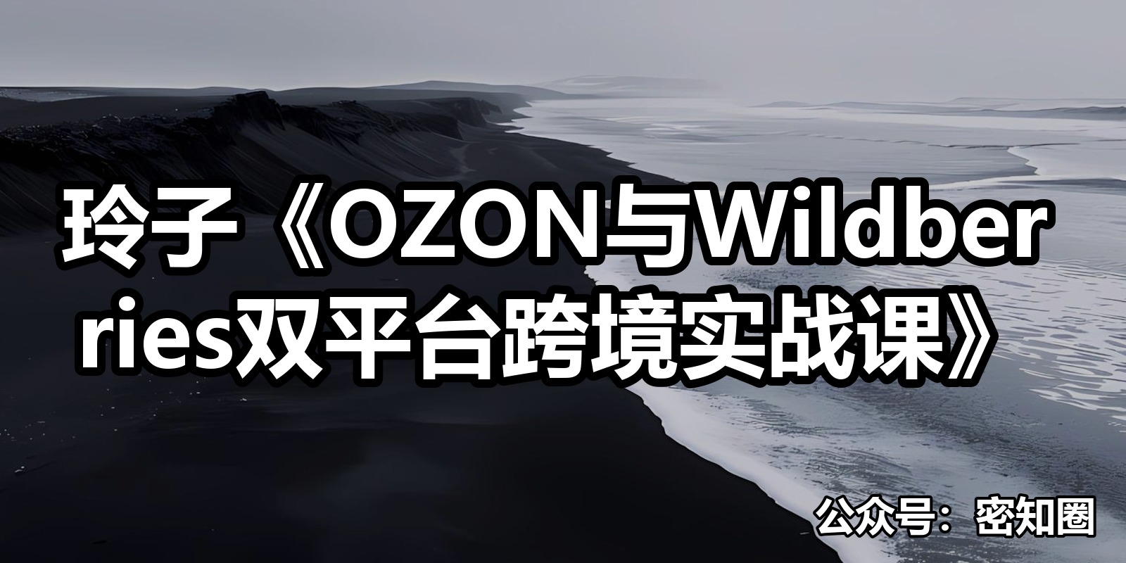 玲子《OZON与Wildberries双平台跨境实战课》|shaocun资源站 - 你的知识成长补给站