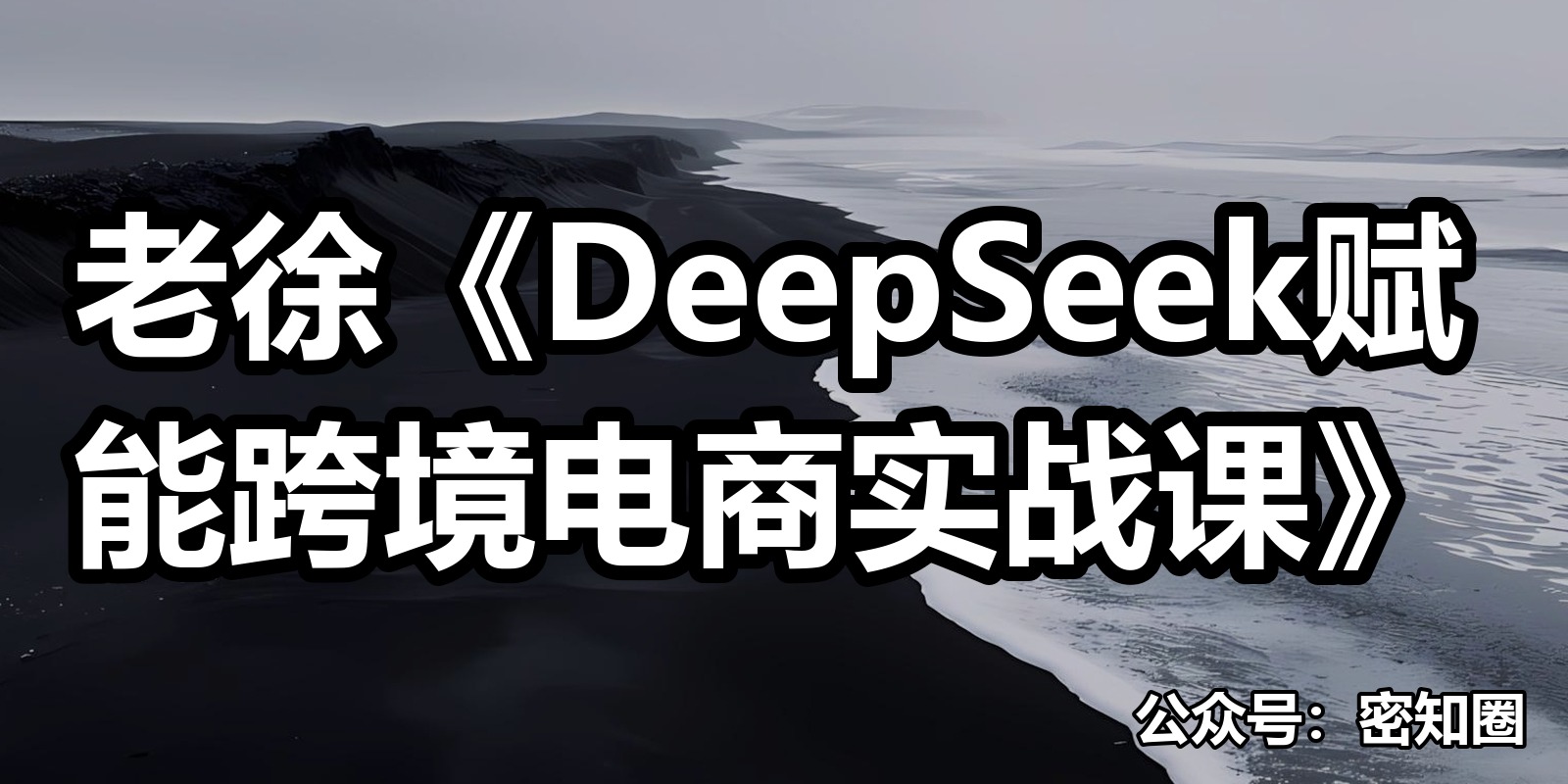老徐《DeepSeek赋能跨境电商实战课》|shaocun资源站 - 你的知识成长补给站