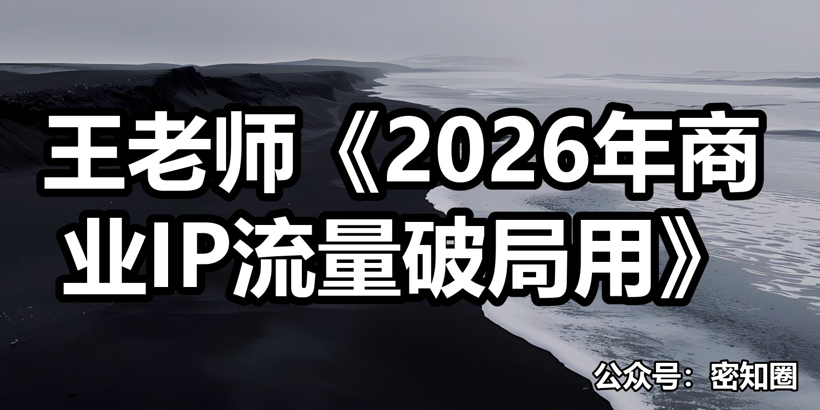 王老师《2026年商业IP流量破局用》|shaocun资源站 - 你的知识成长补给站