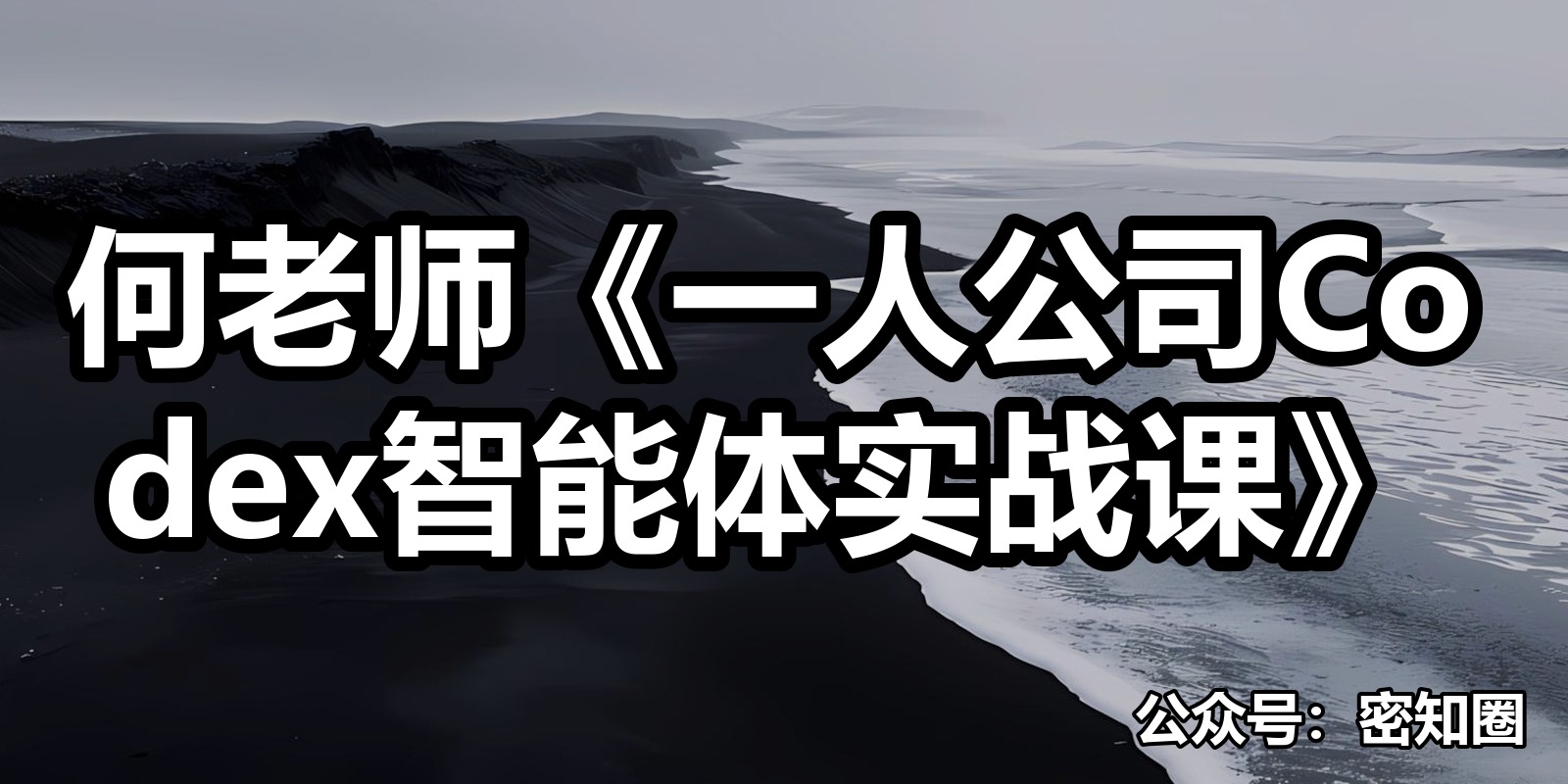 何老师《一人公司Codex智能体实战课》|shaocun资源站 - 你的知识成长补给站