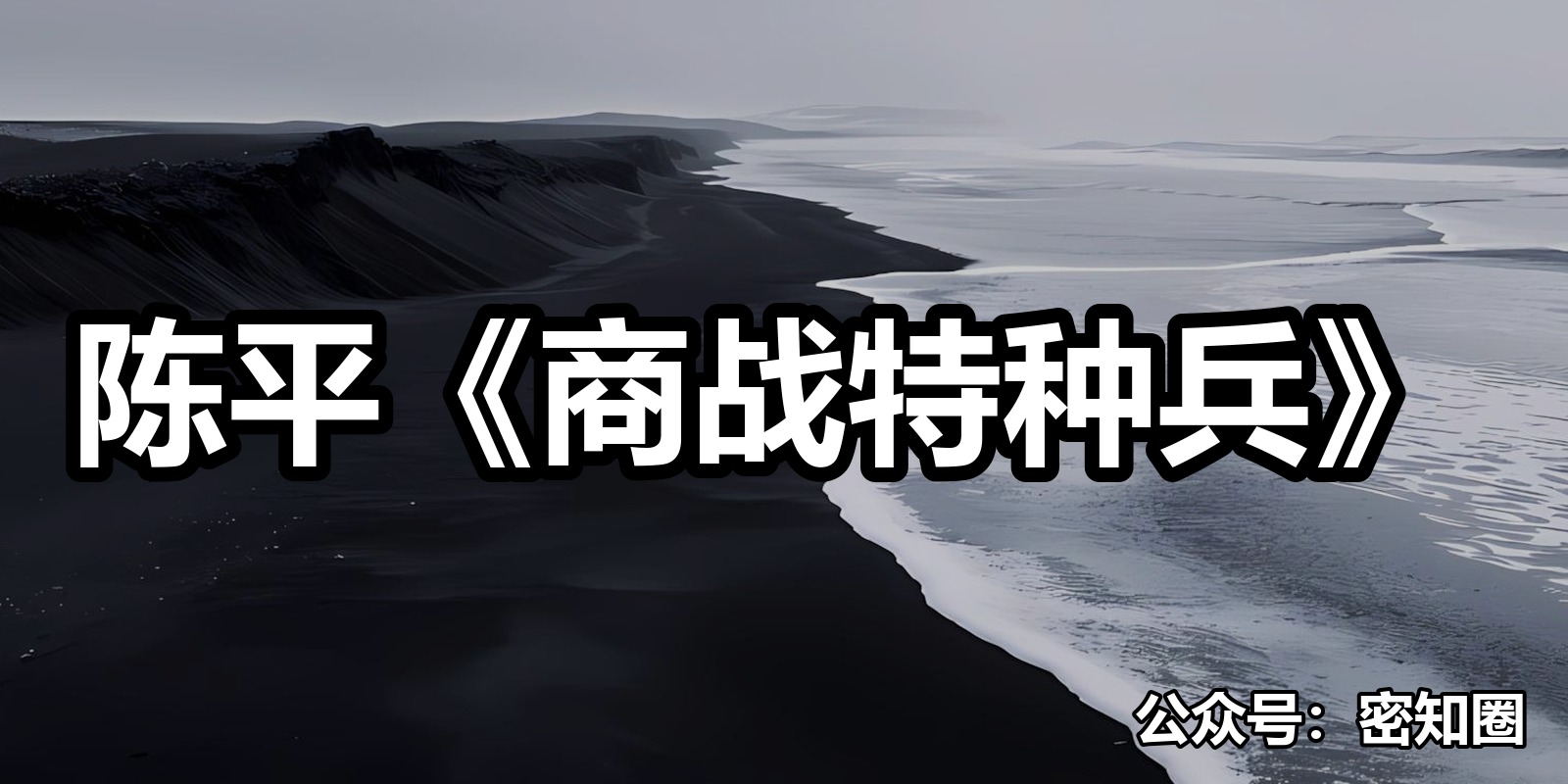 陈平《商战特种兵》|shaocun资源站 - 你的知识成长补给站