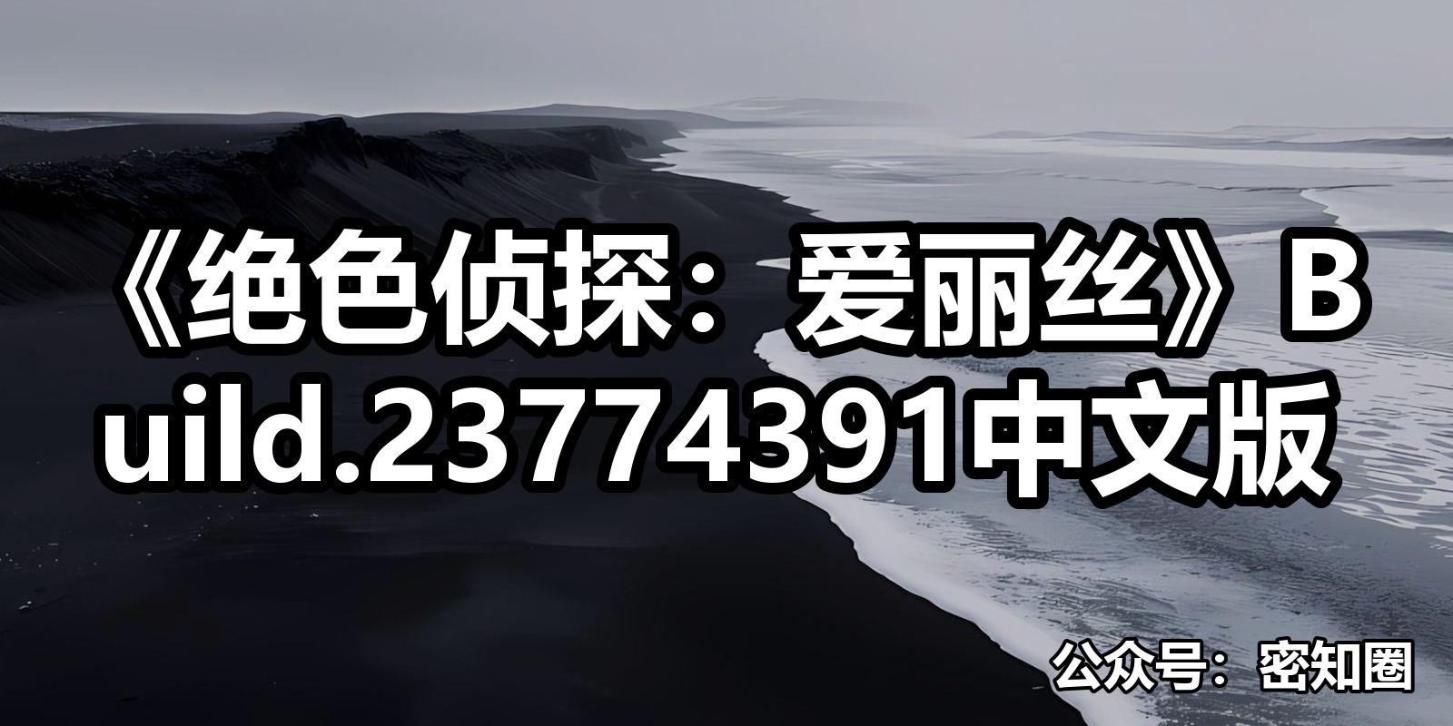 《绝色侦探：爱丽丝》Build.23774391中文版|shaocun资源站 - 你的知识成长补给站