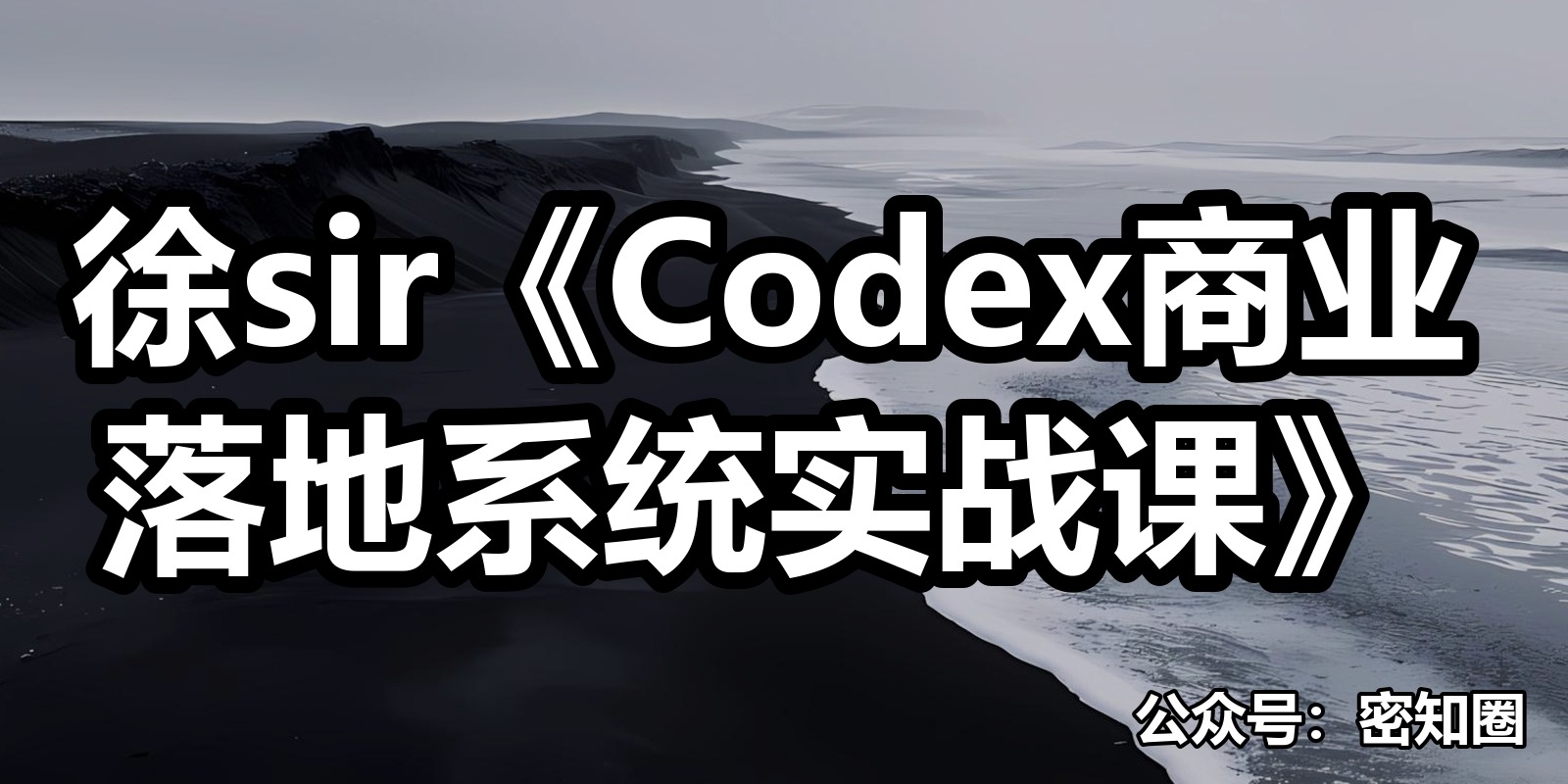 徐sir《Codex商业落地系统实战课》|shaocun资源站 - 你的知识成长补给站