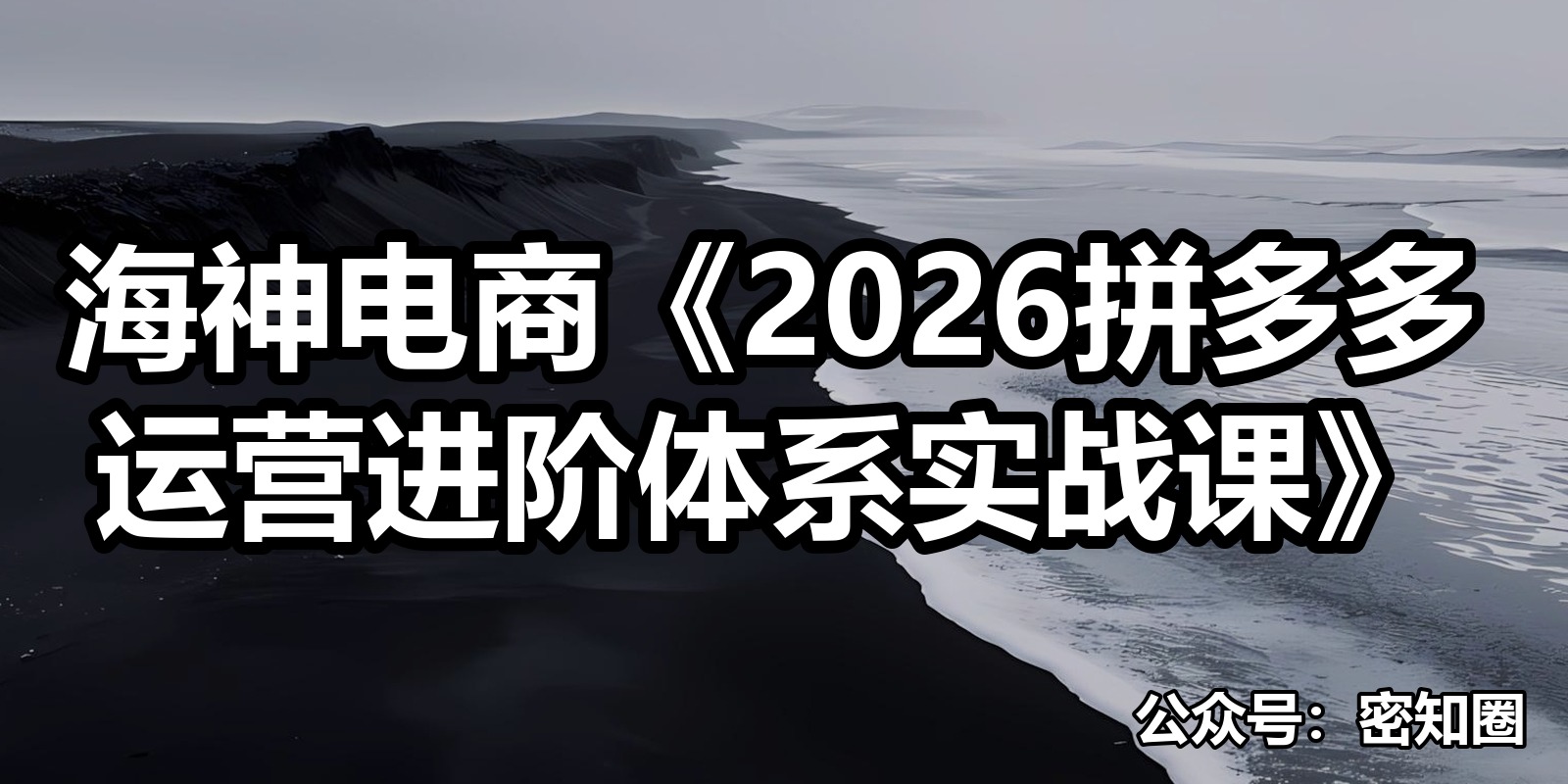 海神电商《2026拼多多运营进阶体系实战课》|shaocun资源站 - 你的知识成长补给站