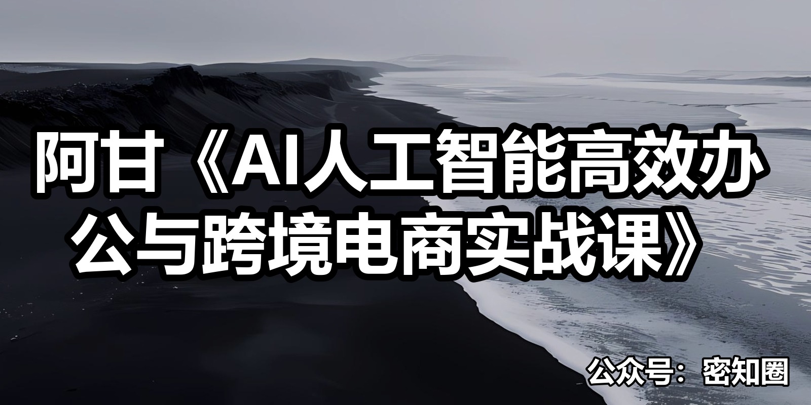 阿甘《AI人工智能高效办公与跨境电商实战课》