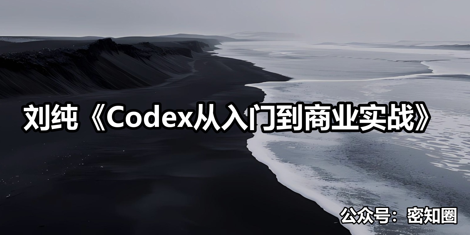 刘纯《Codex从入门到商业实战》