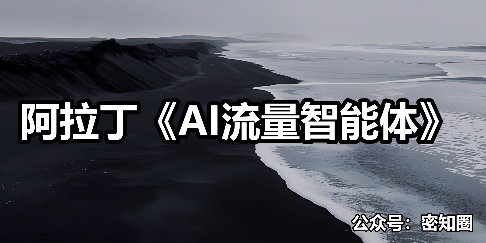 阿拉丁《AI流量智能体》|shaocun资源站 - 你的知识成长补给站