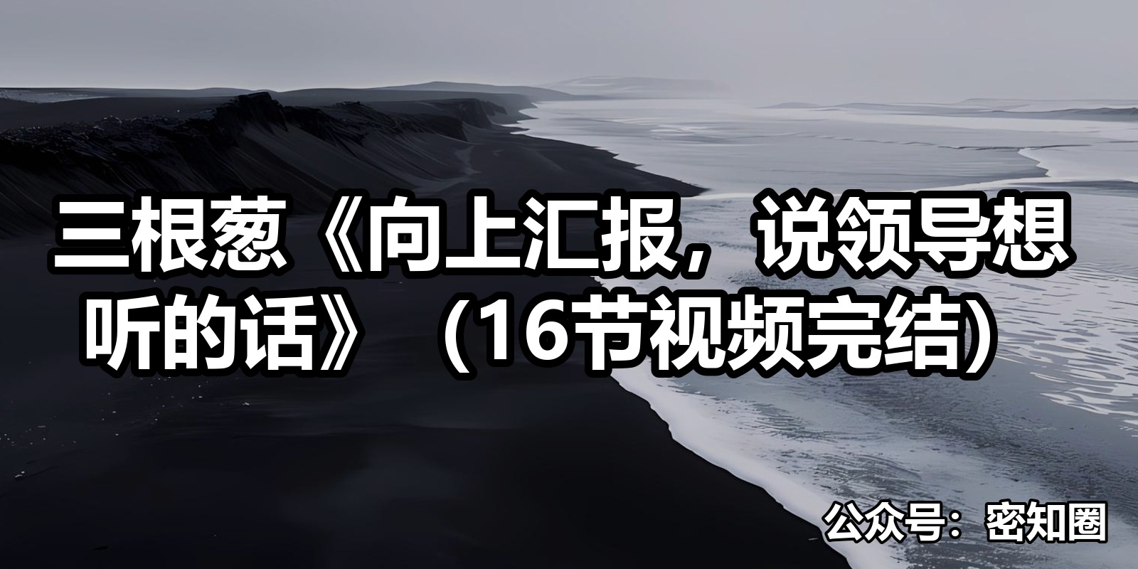 三根葱《向上汇报，说领导想听的话》（16节视频完结）|shaocun资源站 - 你的知识成长补给站