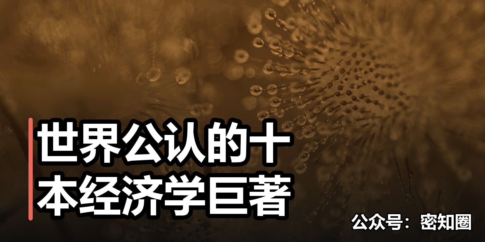 世界公认的十本经济学巨著|shaocun资源站 - 你的知识成长补给站