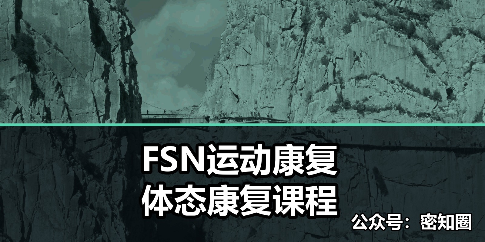 FSN运动康复体态康复课程|shaocun资源站 - 你的知识成长补给站