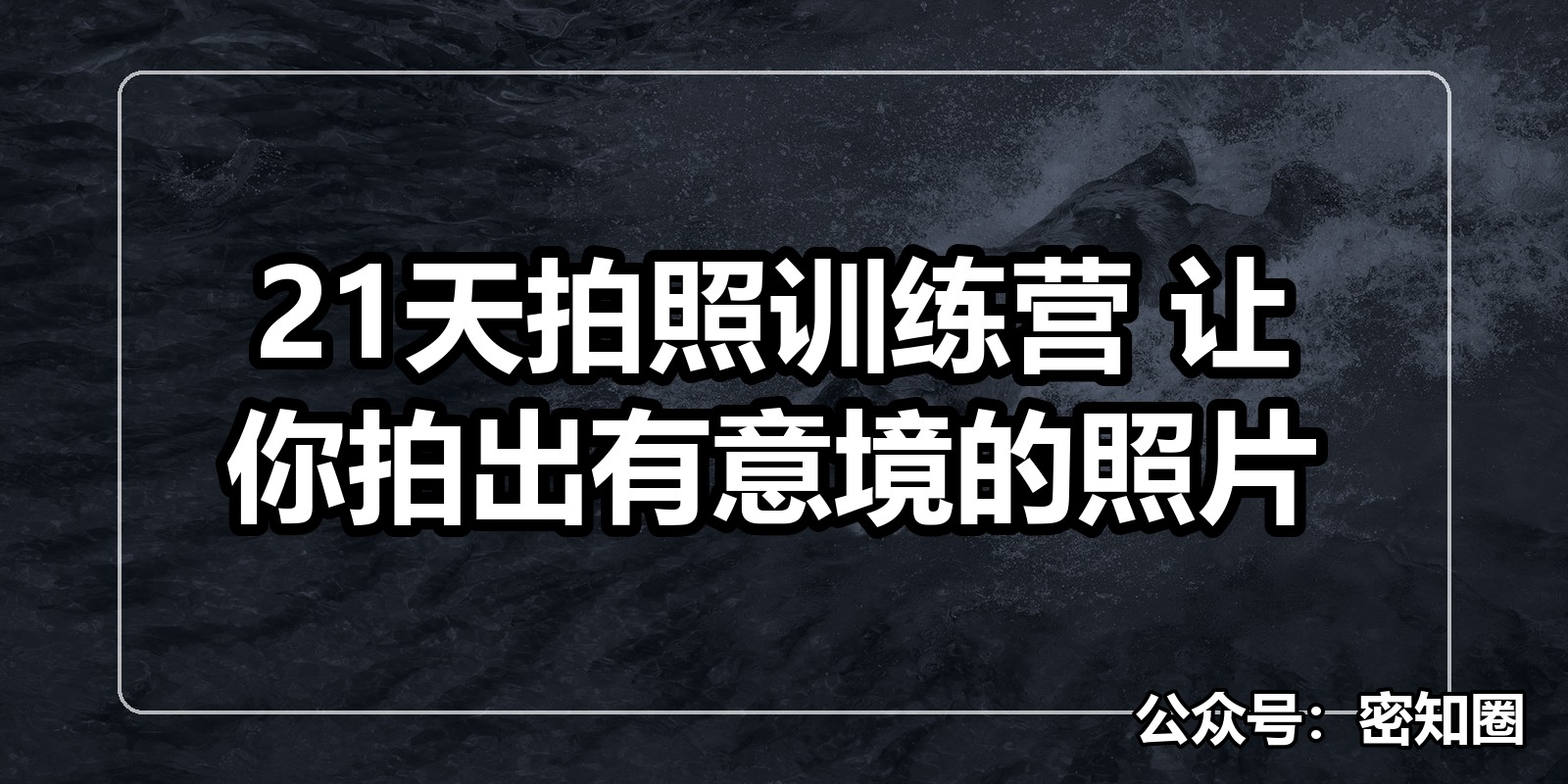 21天拍照训练营 让你拍出有意境的照片|shaocun资源站 - 你的知识成长补给站