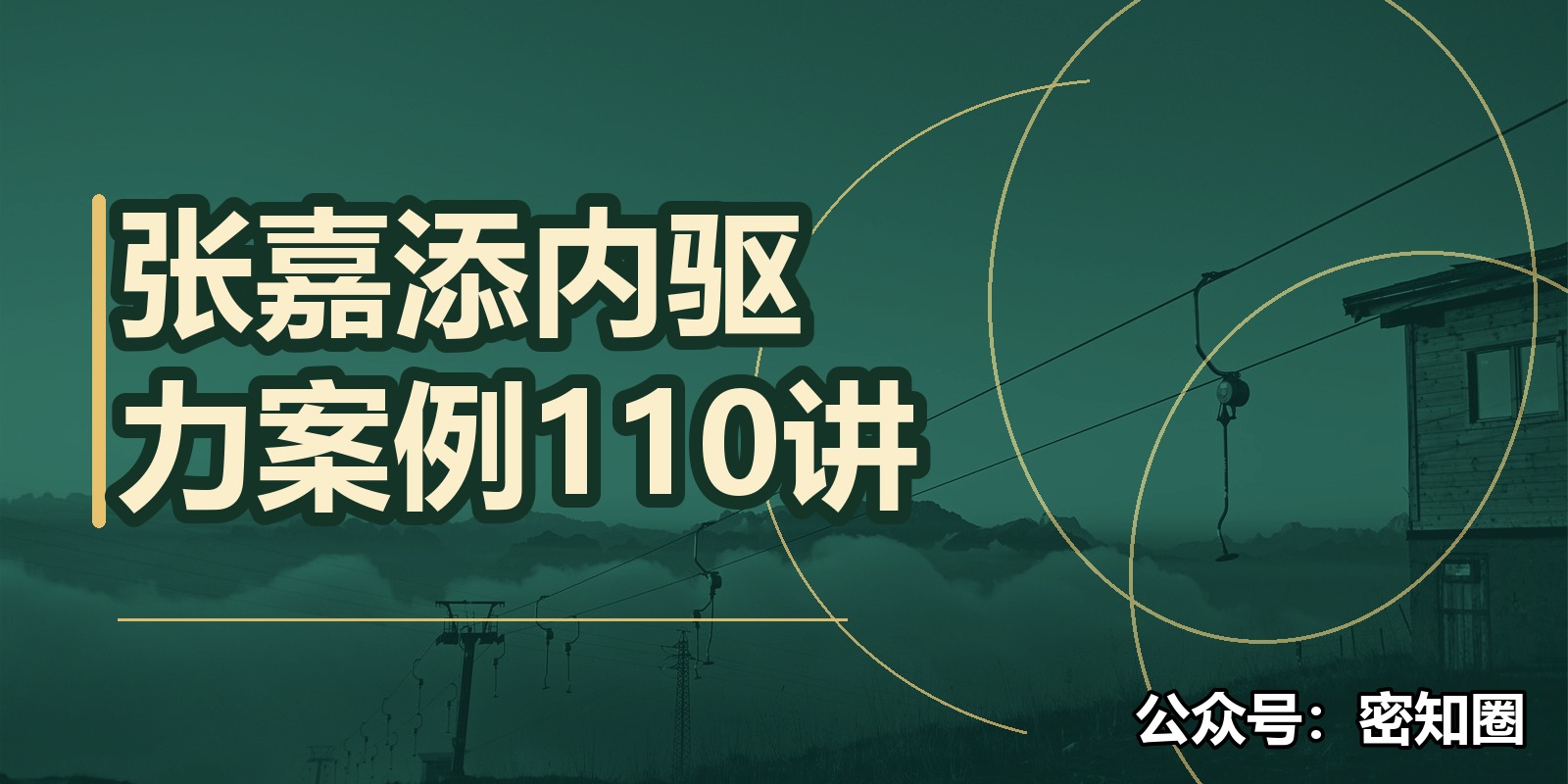 张嘉添内驱力案例110讲|shaocun资源站 - 你的知识成长补给站