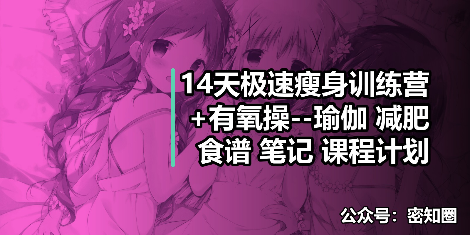 14天极速瘦身训练营+有氧操--瑜伽 减肥 食谱 笔记 课程计划|shaocun资源站 - 你的知识成长补给站