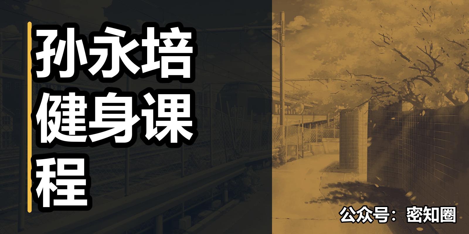 孙永培健身课程|shaocun资源站 - 你的知识成长补给站