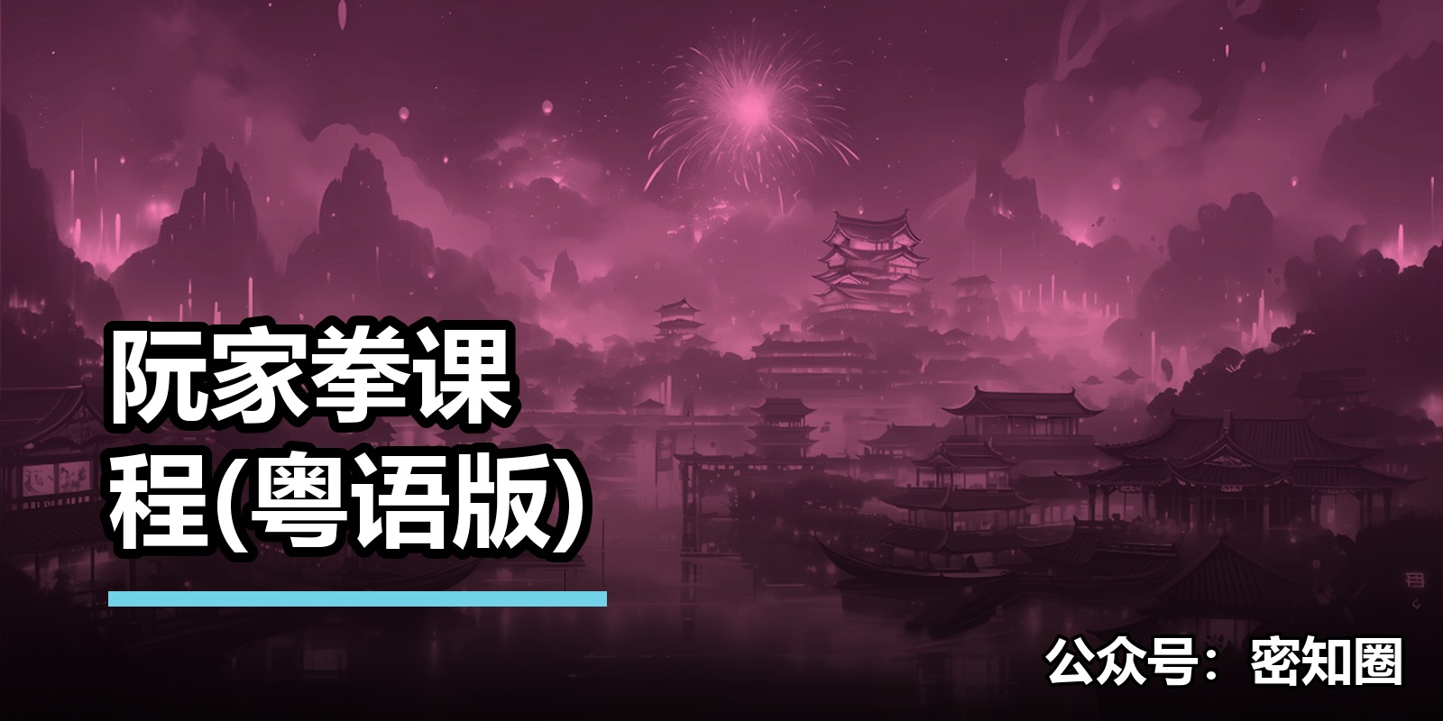 阮家拳课程(粤语版)|shaocun资源站 - 你的知识成长补给站