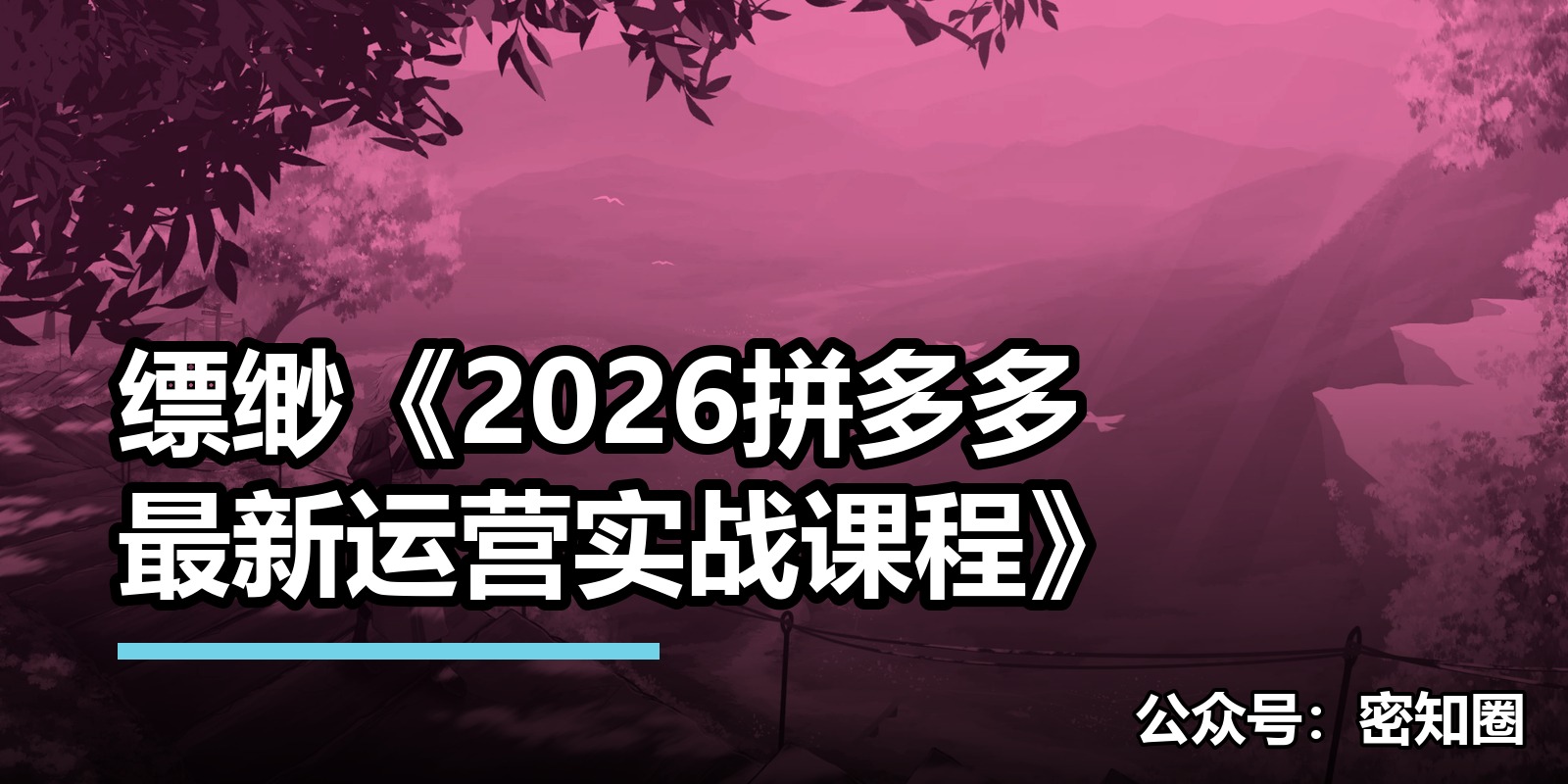 缥缈《2026拼多多最新运营实战课程》|shaocun资源站 - 你的知识成长补给站