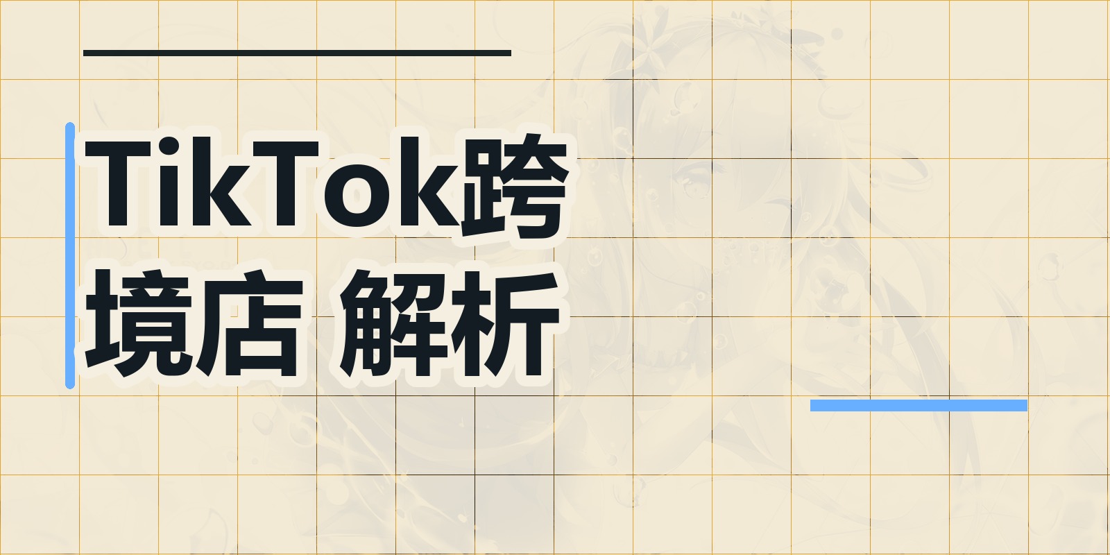 TikTok跨境店 解析|shaocun资源站 - 你的知识成长补给站
