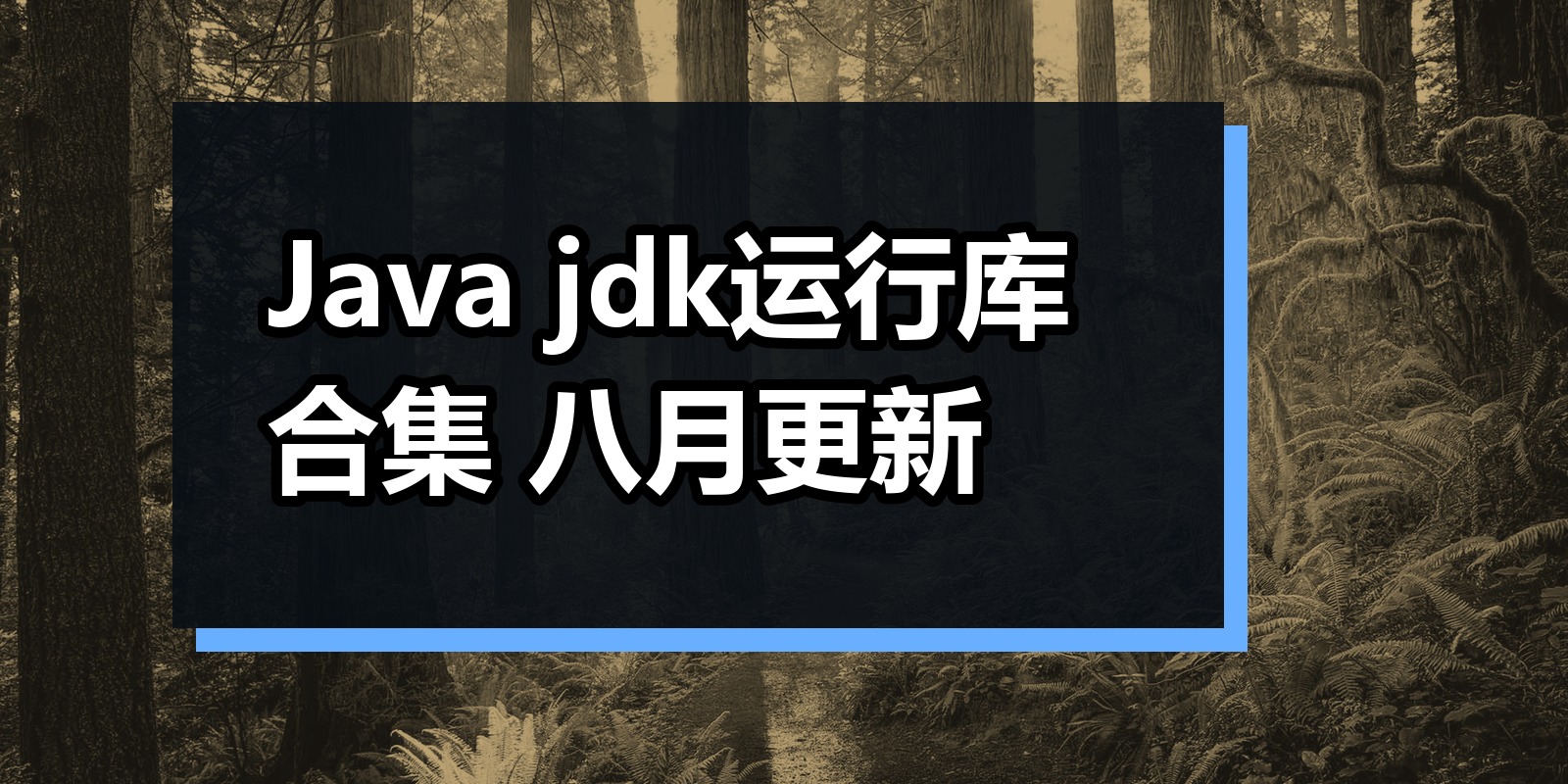 Java jdk运行库合集 八月更新|shaocun资源站 - 你的知识成长补给站
