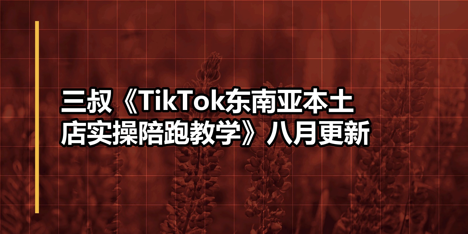 三叔《TikTok东南亚本土店实操陪跑教学》八月更新|shaocun资源站 - 你的知识成长补给站