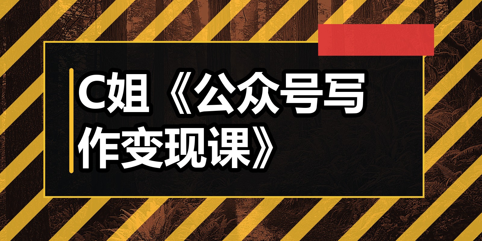 C姐《公众号写作变现课》|shaocun资源站 - 你的知识成长补给站