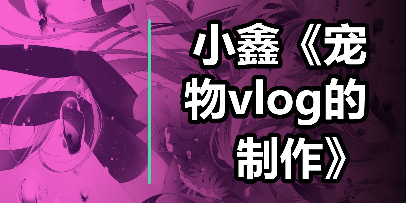 小鑫《宠物vlog的制作》|shaocun资源站 - 你的知识成长补给站