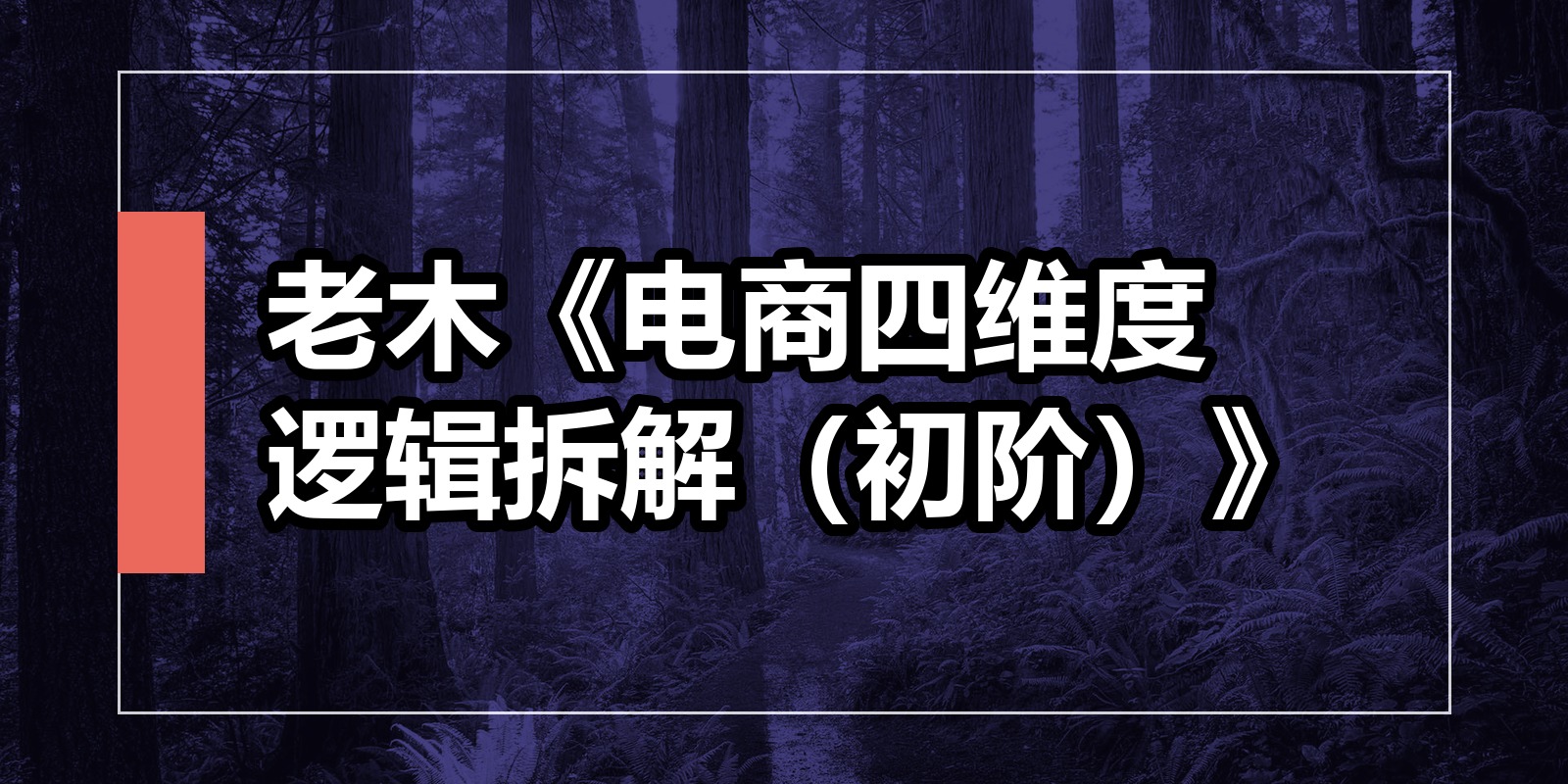 老木《电商四维度逻辑拆解（初阶）》|shaocun资源站 - 你的知识成长补给站