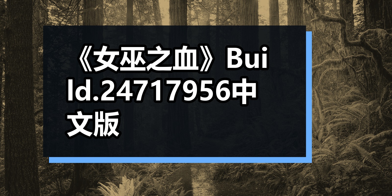 《女巫之血》Build.24717956中文版|shaocun资源站 - 你的知识成长补给站