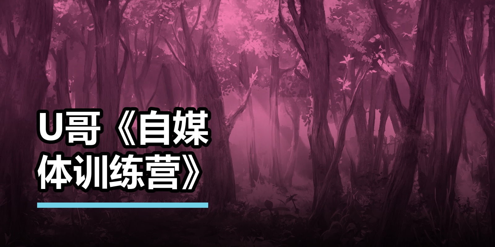 U哥《自媒体训练营》
