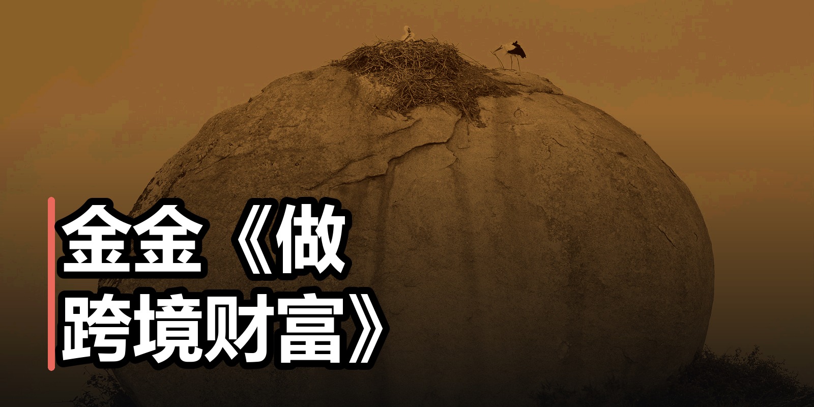 金金《做跨境财富》|shaocun资源站 - 你的知识成长补给站