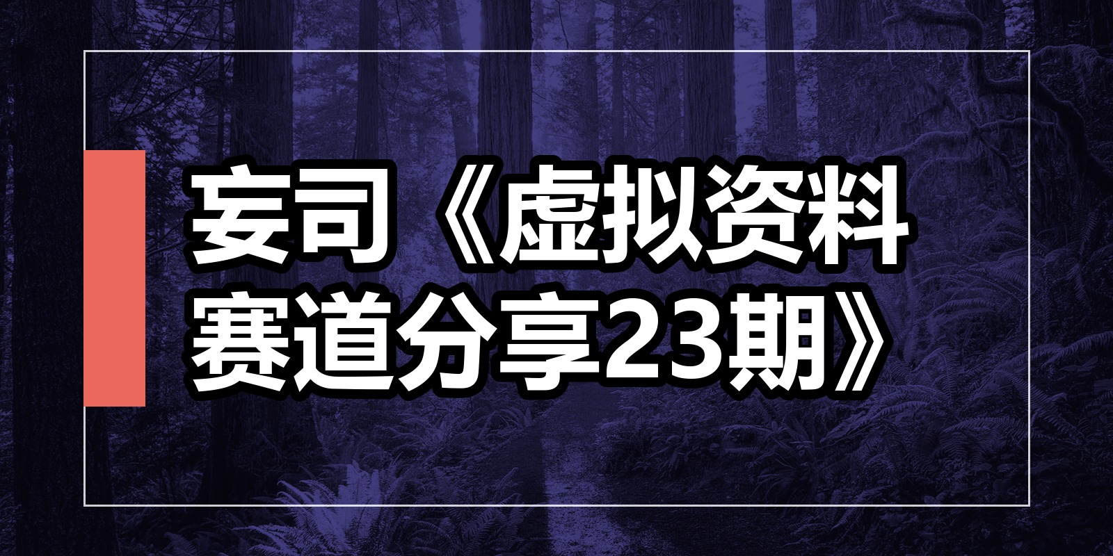 妄司《虚拟资料赛道分享23期》|shaocun资源站 - 你的知识成长补给站