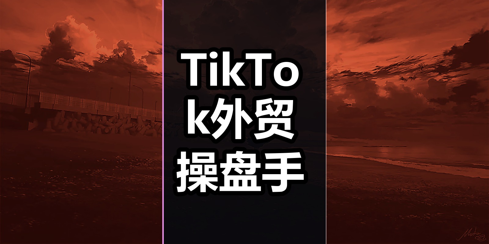 TikTok外贸操盘手|shaocun资源站 - 你的知识成长补给站