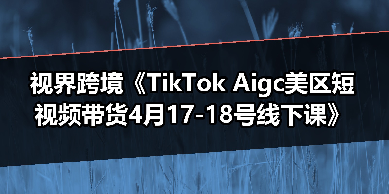 视界跨境《TikTok Aigc美区短视频带货4月17-18号线下课》|shaocun资源站 - 你的知识成长补给站