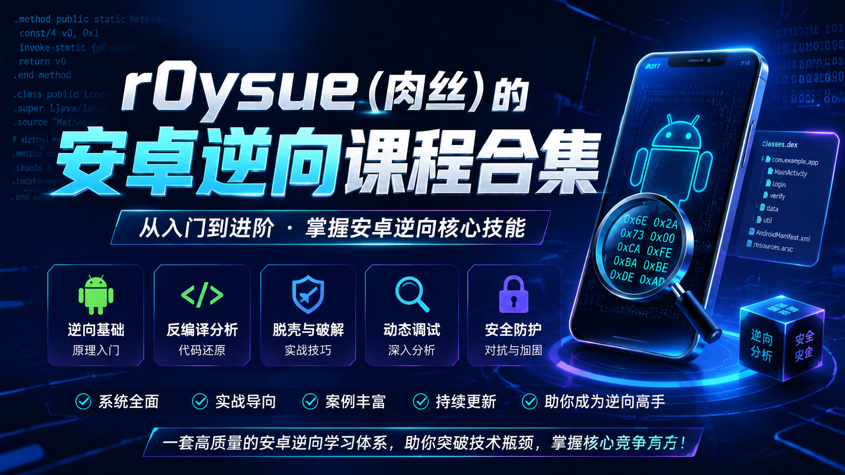 r0ysue (肉丝)的安卓逆向课程合集|shaocun资源站 - 你的知识成长补给站