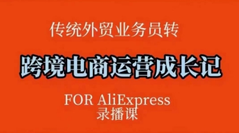 跨境电商速卖通运营课，​运营方法论+后台实操，逻辑清晰-shaocun资源站