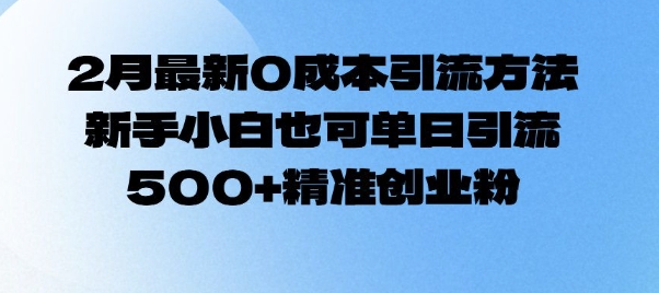2月最新0成本引流方法，新手小白也可单日引流500+精准创业粉-shaocun资源站